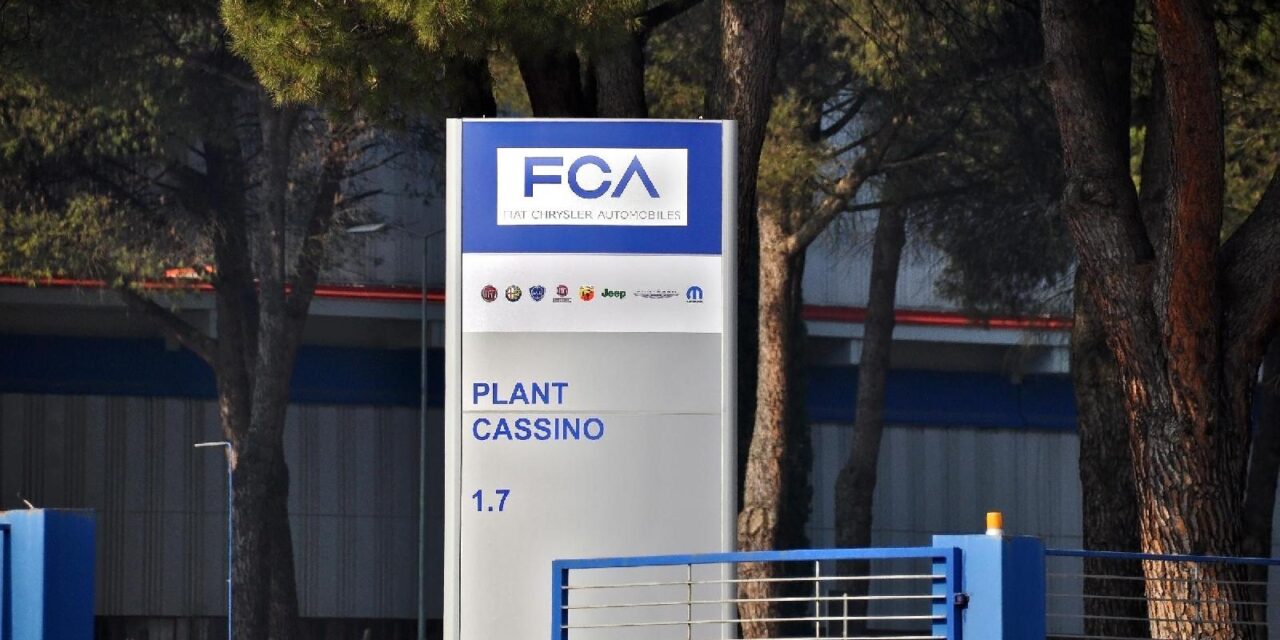 CASSINO PLANT SOTTO QUOTA 3.000
