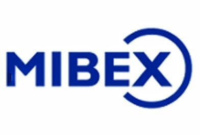 ELEZIONI MIBEX NAPOLI LA UGL METALMECCANICI SI AFFERMA SUPERANDO 21,2% DELLE PREFERENZE