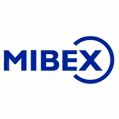 ELEZIONI MIBEX NAPOLI LA UGL METALMECCANICI SI AFFERMA SUPERANDO 21,2% DELLE PREFERENZE